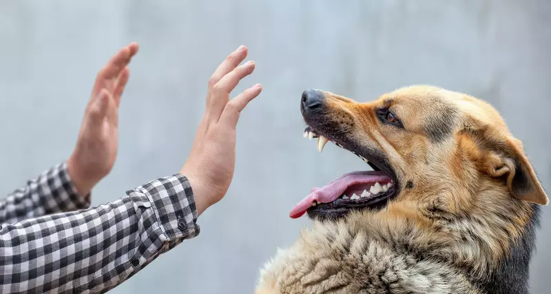 Self Defense Dog Bite