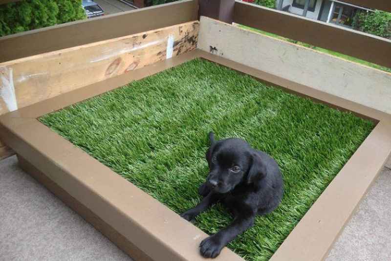 Dog Grass Pad for The Balcony? 