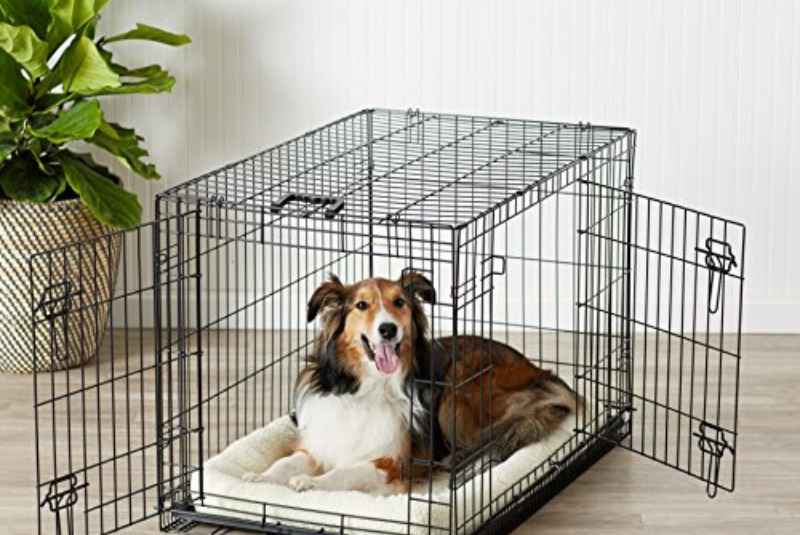 Common Crate Training Mistakes to Avoid