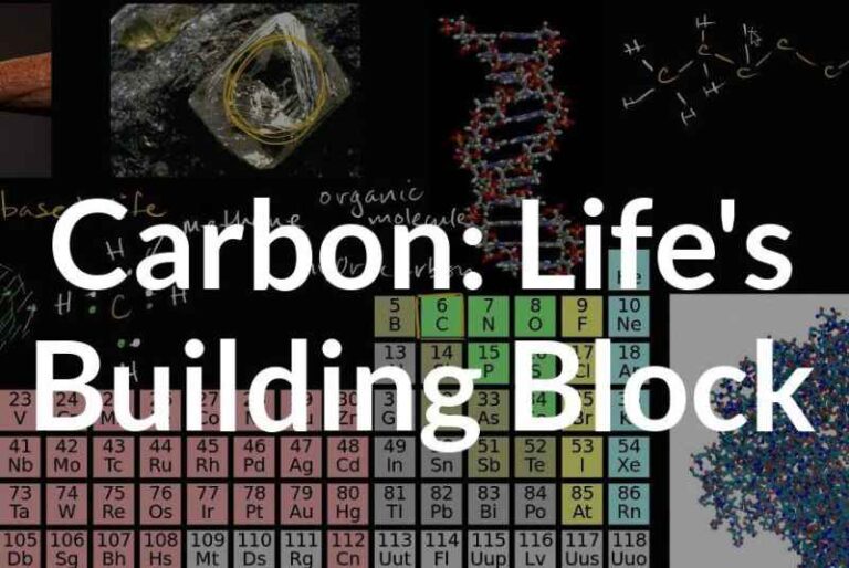 The Importance of Carbon?