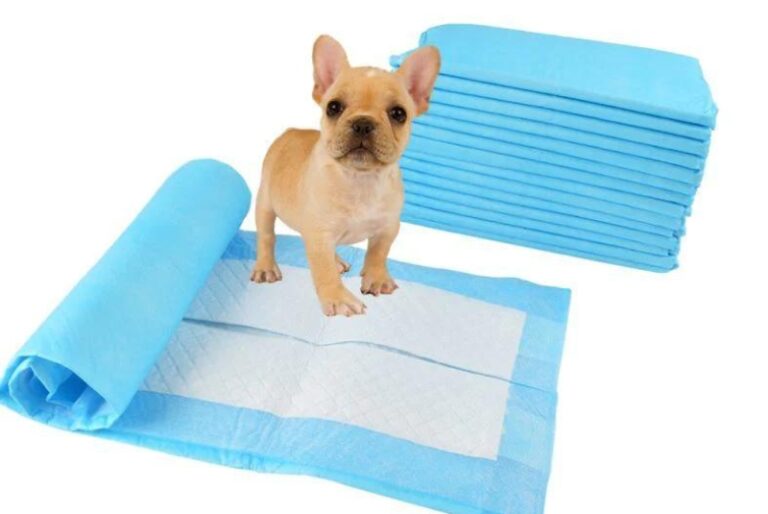 The Three Rs of Recycling Your Dog's Pee Pad?