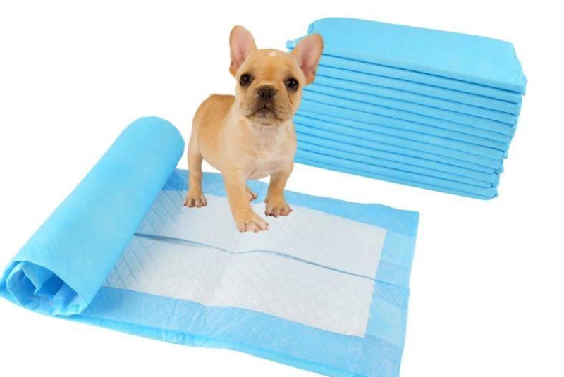 The Three Rs of Recycling Your Dog's Pee Pad?