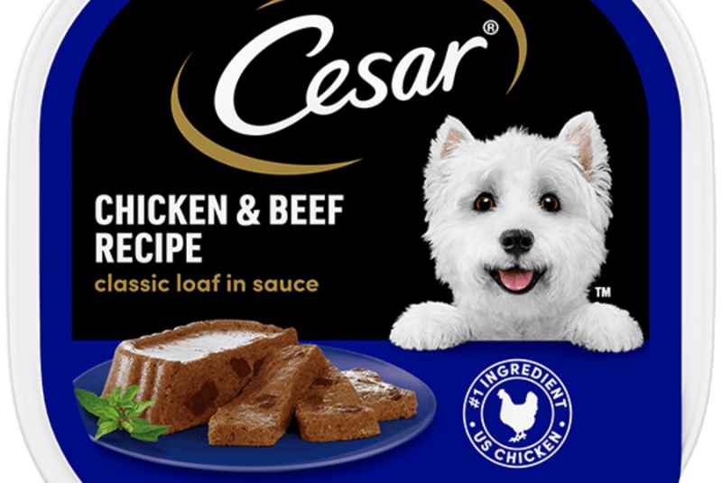 Is Cesar Dog Food Good? Also, Discuss Alternatives