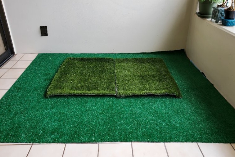 Dog Grass Pad for The Balcony?