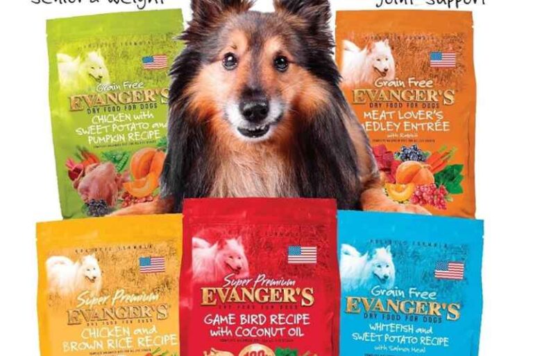 Is Evanger dog food safe now?