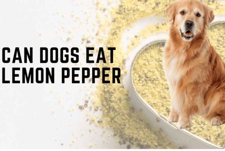 Can Dogs Eat Lemon Pepper?